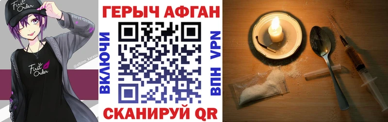 ГЕРОИН хмурый  Западная Двина 